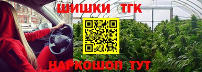 альфа пвп Новодвинск