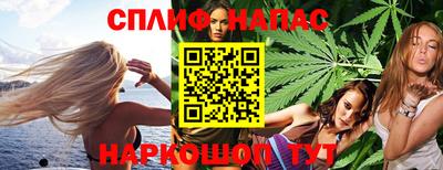 альфа пвп Новодвинск