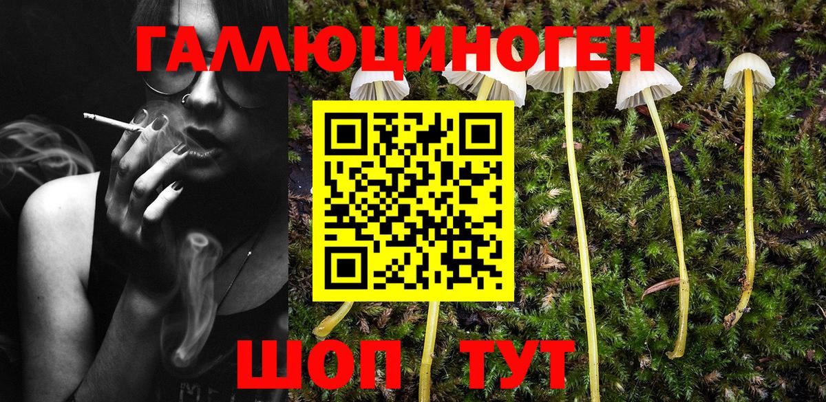 Галлюциногенные грибы MAGIC MUSHROOMS Сергиев Посад