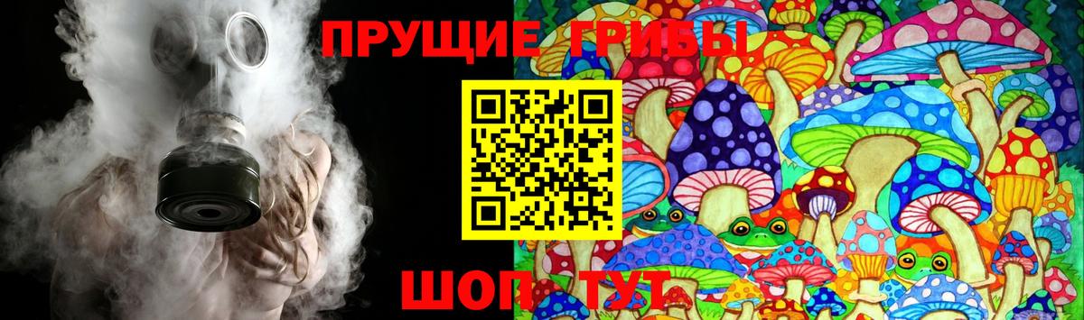 Сергиев Посад  Галлюциногенные грибы Psilocybe  Вход с VPN 